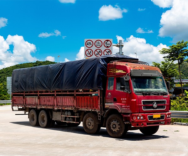 車(chē)輛(liàng)展示